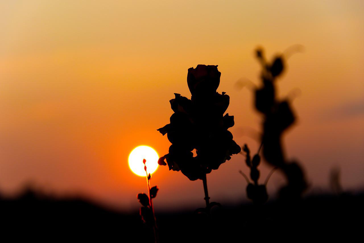 Viva plenamente para poder morrer feliz